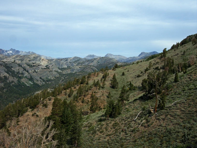RIMG0387
