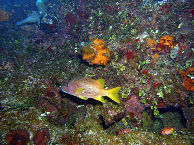 RIMG0688