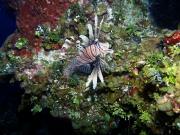 RIMG0634