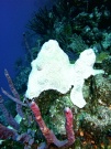 RIMG0655