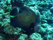 RIMG0672