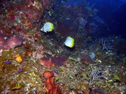 RIMG0680