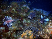 RIMG0682