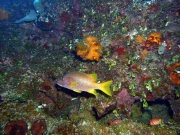 RIMG0688