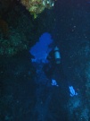 RIMG0774