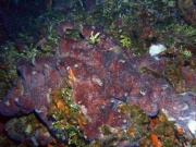 RIMG0857