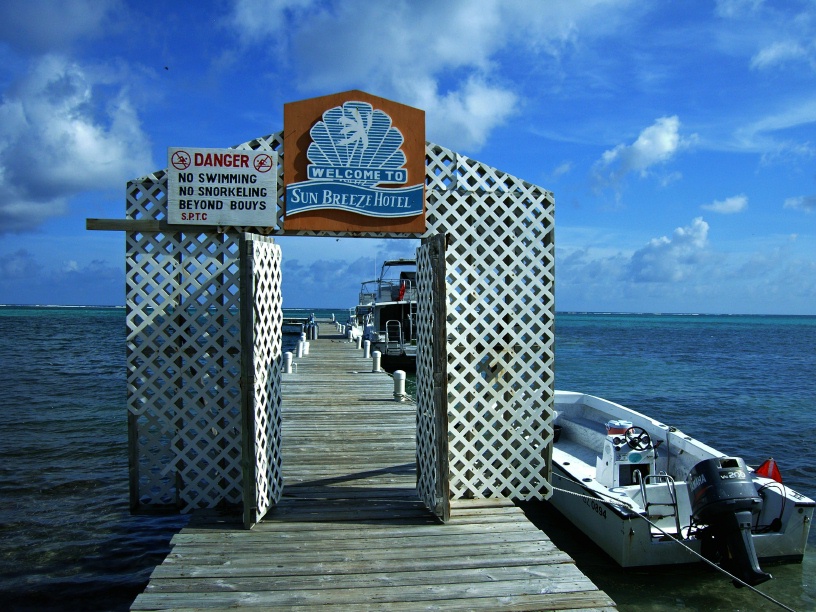RIMG2623