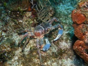 RIMG5563
