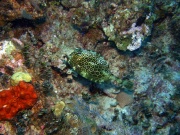 RIMG5636