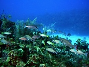 RIMG5688