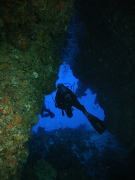RIMG2702