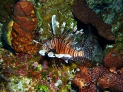 RIMG2759