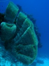 RIMG2778