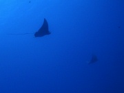 RIMG2828