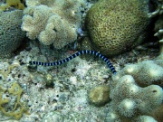 RIMG1559