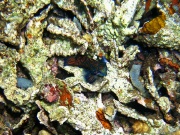 RIMG1634