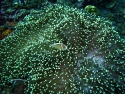 RIMG2123