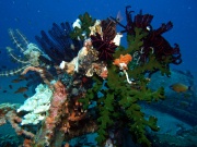RIMG2181
