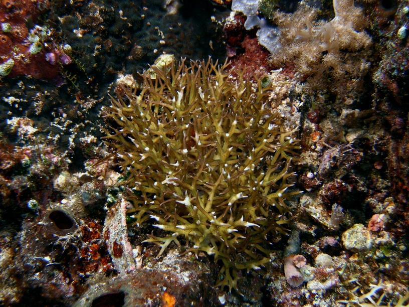 RIMG2461