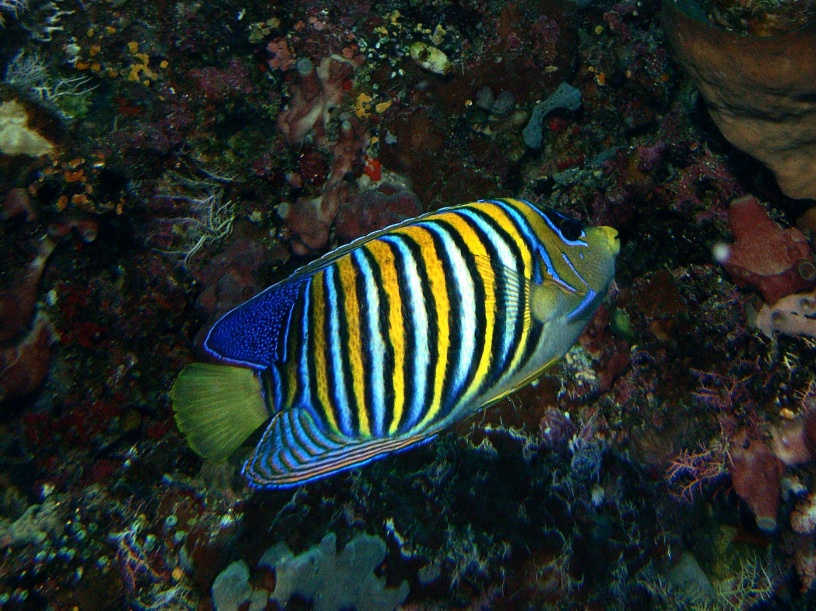 RIMG2497