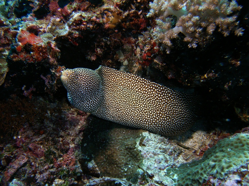 RIMG2627