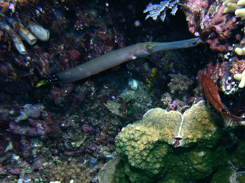 RIMG2633
