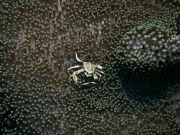 RIMG2664