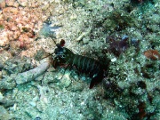 RIMG2761