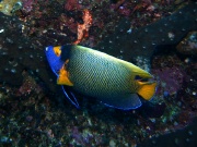 RIMG2926