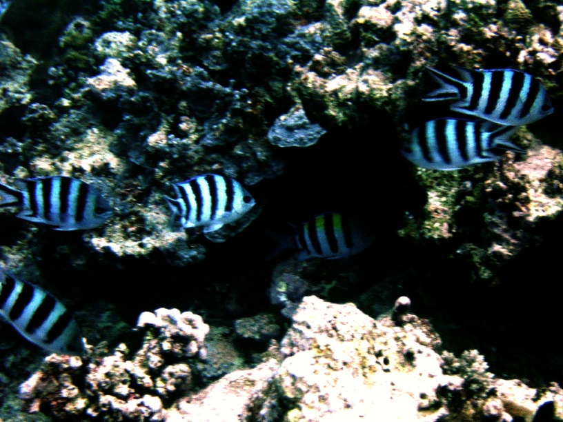 RIMG0095