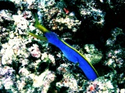 RIMG0123