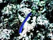 RIMG0124