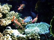 RIMG0168