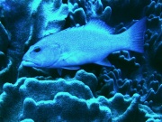 RIMG0207