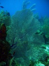 RIMG5777
