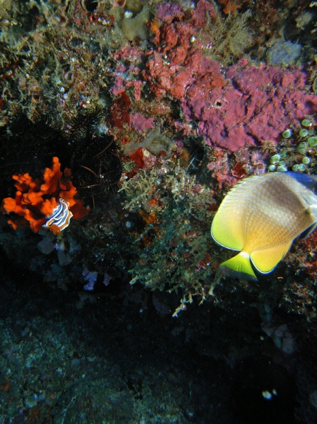 RIMG4670