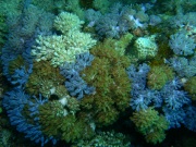 RIMG4573