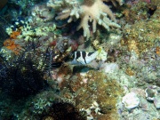 RIMG4758
