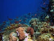 RIMG4879