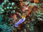 RIMG5067