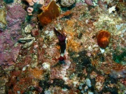 RIMG5348