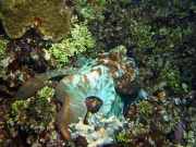 RIMG3585