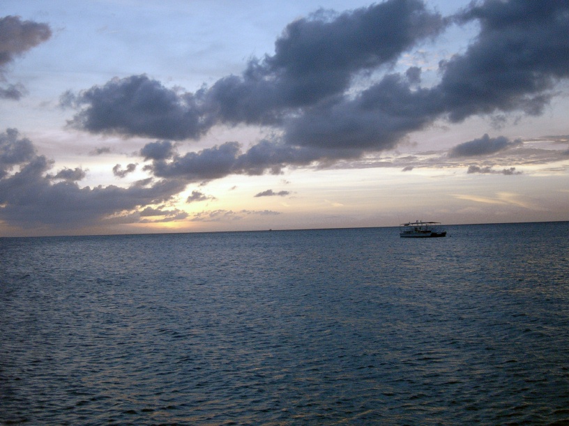 RIMG1439 (crop)