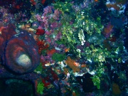 RIMG1382 (2)