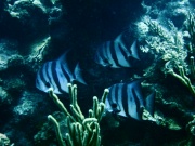 RIMG1528 (2)
