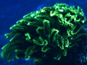 RIMG0327