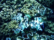RIMG0357