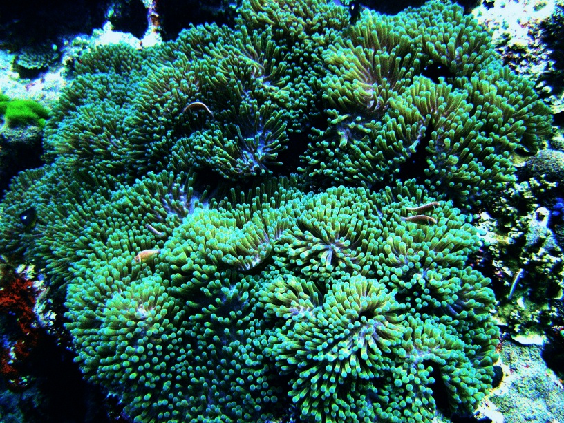 RIMG0392