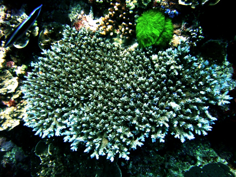 RIMG0397