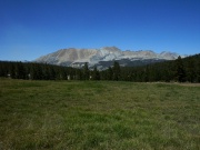 RIMG2011 (2)